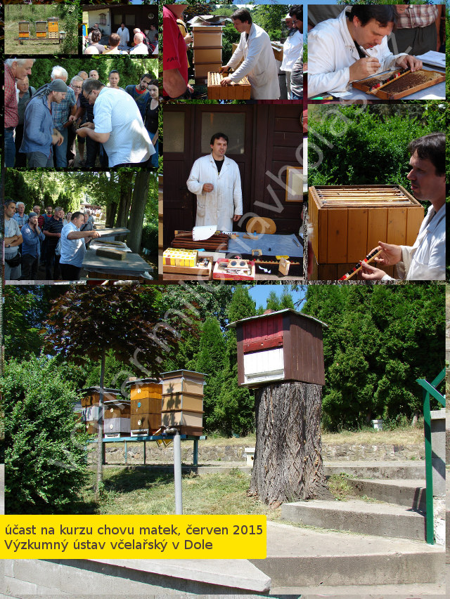 Účast na kurzu chovu matek VÚ DOL